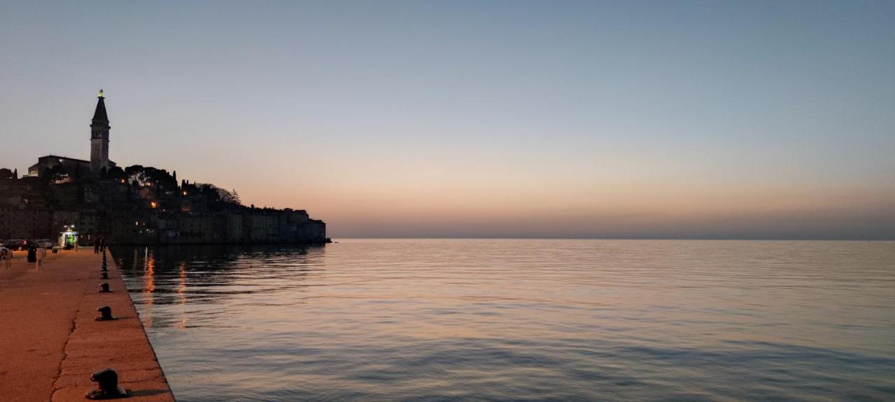 Davor Holiday Apartments Rovinj Kültér fotó